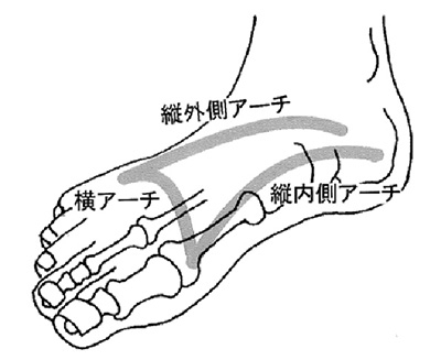 ≪足のアーチ≫