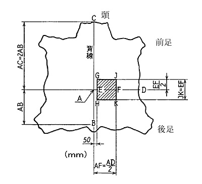 ≪JIS K 6550における丸革の試験片採取部位≫