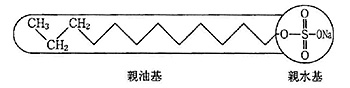 ≪界面活性剤の模式図≫